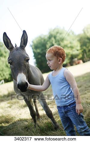Red-haired little boy in a field looking at a donkey while stroking him View Large Photo Image Stock Photo - Red-haired little boy in a field looking at a donkey while stroking him. Fotosearch