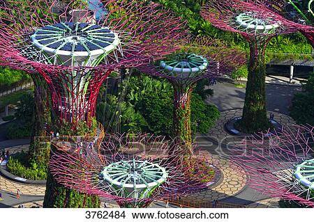 Picture - Singapore, Singapore City, Singapore Botanic Gardens, Supertrees at Gardens by The Bay. Fotosearch