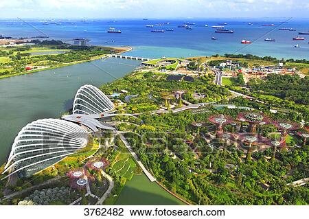 Singapore, Singapore City, Singapore Botanic Gardens, Supertrees at Gardens by The Bay View Large Photo Image Stock Image - Singapore, Singapore City, Singapore Botanic Gardens, Supertrees at Gardens by The Bay. Fotosearch