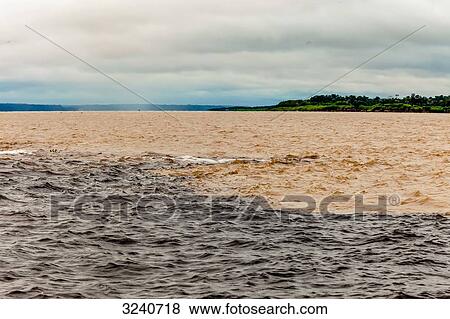 Stock Photo - South America, Amazon, meeting of the waters of the Rio and the Rio Solimoes near Manaus. Fotosearch