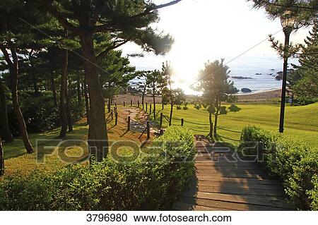 South Korea. Gangwon area.. Yangyang. Daemyung Sol Beach View Large Photo Image Stock Image - South Korea. Gangwon area.. Yangyang. Daemyung Sol Beach. Fotosearch