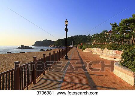 South Korea. Gangwon area.. Yangyang. Daemyung Sol Beach View Large Photo Image Stock Image - South Korea. Gangwon area.. Yangyang. Daemyung Sol Beach. Fotosearch