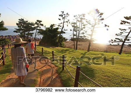 South Korea. Gangwon area.. Yangyang. Daemyung Sol Beach View Large Photo Image Stock Image - South Korea. Gangwon area.. Yangyang. Daemyung Sol Beach. Fotosearch
