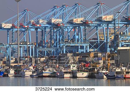 Picture - Spain, Andalousia. Algeciras. The harbor. Fotosearch