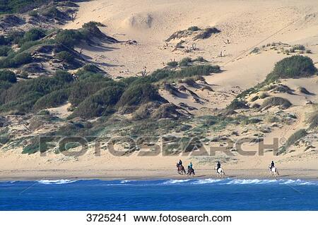 Spain, Andalousia. Tarifa. La Dunas beach. View Large Photo Image Stock Image - Spain, Andalousia. Tarifa. La Dunas beach.. Fotosearch