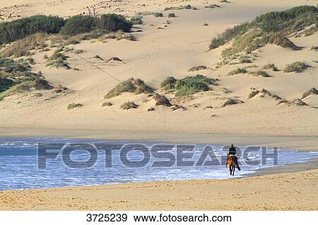 Spain, Andalousia. Tarifa. La Dunas beach. View Large Photo Image Stock Photo - Spain, Andalousia. Tarifa. La Dunas beach.. Fotosearch
