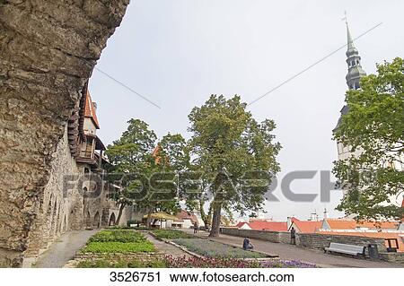 Square in Tallinn, Estonia View Large Photo Image Stock Image - Square in Tallinn, Estonia. Fotosearch