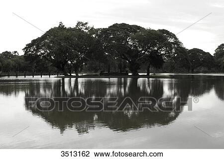 Thailand, Sukhothai, Old city park View Large Photo Image Stock Image - Thailand, Sukhothai, Old city park. Fotosearch