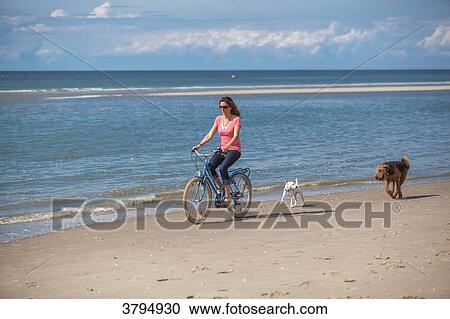 Stock Image - Young women with dogs riding a bike on the beach., Pas de Calais, Bitch.. Fotosearch