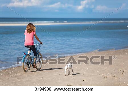 Young women with her dog riding a bike on the beach, Pas de Calais, Bitch. View Large Photo Image Stock Photo - Young women with her dog riding a bike on the beach, Pas de Calais, Bitch.. Fotosearch