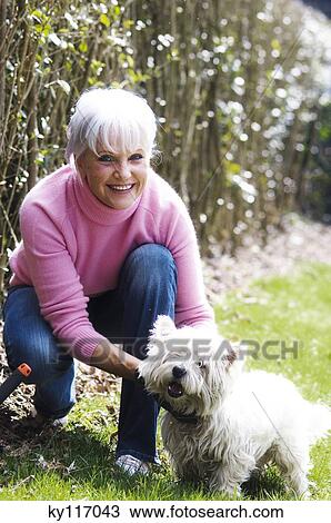 Senior woman crouching, stroking West Highland terrier View Large Photo Image Stock Image - Senior woman crouching, stroking West Highland terrier. Fotosearch