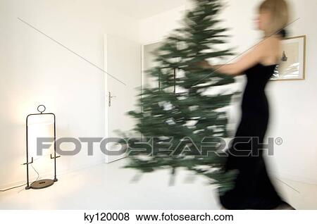 Woman carrying Christmas tree in a living-room View Large Photo Image Stock Photo - Woman carrying Christmas tree in a living-room. Fotosearch