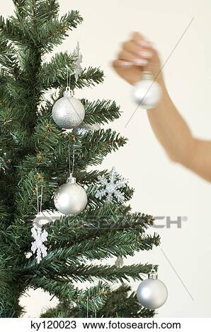 Woman hanging decoration on Christmas tree View Large Photo Image Stock Image - Woman hanging decoration on Christmas tree. Fotosearch