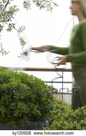 Woman watering bushes View Large Photo Image Stock Photograph - Woman watering bushes. Fotosearch