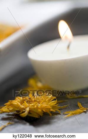 Stock Photo - Dried flower and candle, close-up. Fotosearch