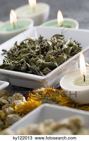 Dried mint and camomile leaves, candles, close-up View Large Photo Image Stock Image - Dried mint and camomile leaves, candles, close-up. Fotosearch