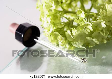 Stock Image - Dropper and Bach flowers, close-up. Fotosearch
