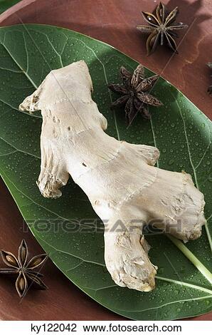 Ginger and star anise, close-up View Large Photo Image Stock Image - Ginger and star anise, close-up. Fotosearch
