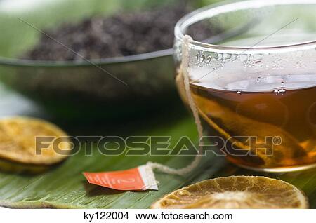 Herbal tea, close-up View Large Photo Image Picture - Herbal tea, close-up. Fotosearch