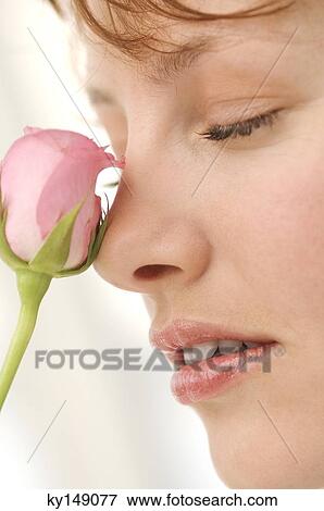 Portrait of young woman with rose in front of face, eyes closed View Large Photo Image Stock Photo - Portrait of young woman with rose in front of face, eyes closed. Fotosearch