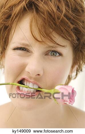 Portrait of young woman with rose between teeth View Large Photo Image Stock Photo - Portrait of young woman with rose between teeth. Fotosearch
