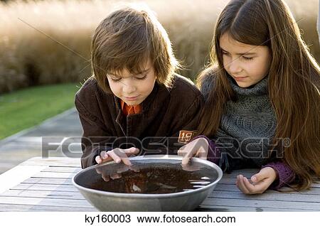 Close-up of two children looking into a bowl of water View Large Photo Image Stock Image - Close-up of two children looking into a bowl of water. Fotosearch