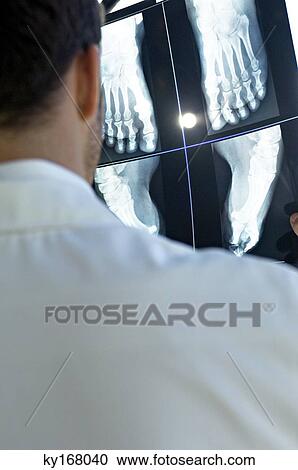 Rear view of a male doctor examining an X-Ray report View Large Photo Image Stock Image - Rear view of a male doctor examining an X-Ray report. Fotosearch