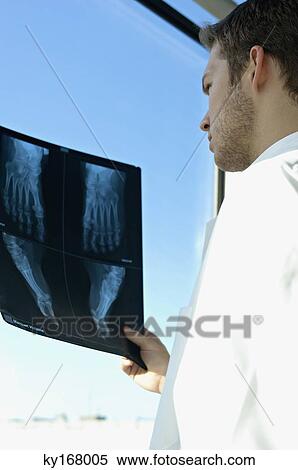 Side profile of a male doctor examining an X-Ray report View Large Photo Image Stock Photography - Side profile of a male doctor examining an X-Ray report. Fotosearch