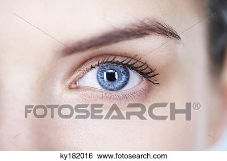 Close-up of woman's eye View Large Photo Image Stock Photograph - Close-up of woman's eye. Fotosearch