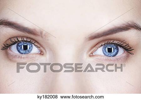 Close-up of woman's eyes View Large Photo Image Stock Photo - Close-up of woman's eyes. Fotosearch