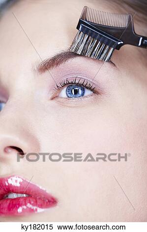 Stock Photography - Woman brushing eyebrow. Fotosearch