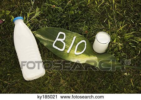 Milk bottle, yoghurt, and "BIO" lettering on a leaf, on the grass View Large Photo Image Stock Image - Milk bottle, yoghurt, and "BIO" lettering on a leaf, on the grass. Fotosearch