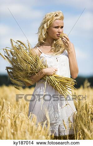 Picture - Young woman in a wheat field. Fotosearch