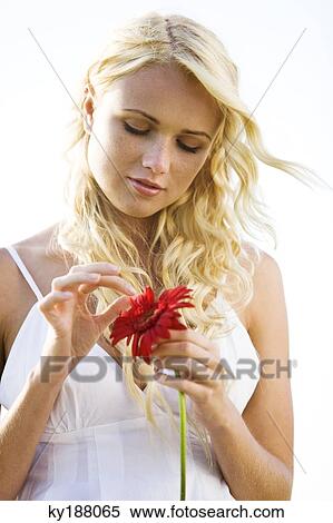 Young woman holding a red flower View Large Photo Image Stock Photography - Young woman holding a red flower. Fotosearch