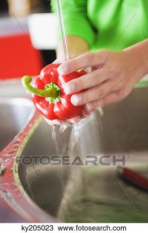 Mid section view of a woman washing a red bell pepper under a faucet View Large Photo Image Stock Image - Mid section view of a woman washing a red bell pepper under a faucet. Fotosearch