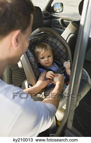 Man fastening his son on a baby seat in a car View Large Photo Image Stock Image - Man fastening his son on a baby seat in a car. Fotosearch