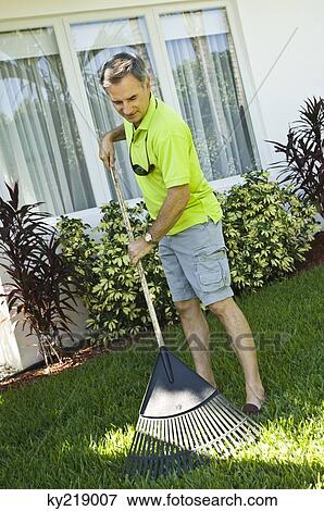 Man raking the lawn View Large Photo Image Stock Photo - Man raking the lawn. Fotosearch