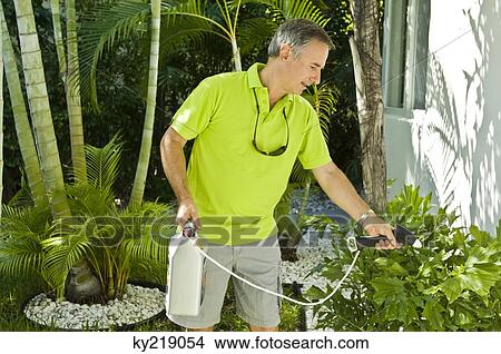 Man watering plants in the lawn View Large Photo Image Picture - Man watering plants in the lawn. Fotosearch