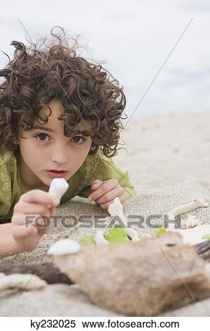 Boy holding a shell on the beach View Large Photo Image Stock Photography - Boy holding a shell on the beach. Fotosearch