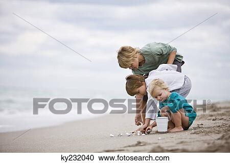 Girl and boys playing with shells on the beach View Large Photo Image Stock Image - Girl and boys playing with shells on the beach. Fotosearch