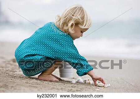 Girl playing with shells on the beach View Large Photo Image Stock Image - Girl playing with shells on the beach. Fotosearch