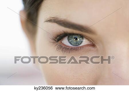 Close-up of eyes of a woman View Large Photo Image Stock Photograph - Close-up of eyes of a woman. Fotosearch