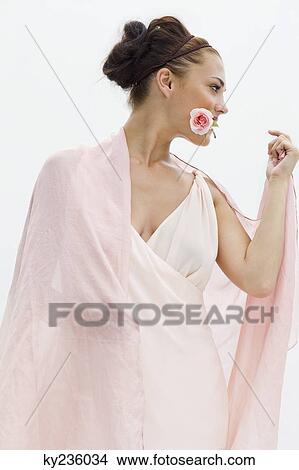 Fashion model holding rose between her teeth View Large Photo Image Picture - Fashion model holding rose between her teeth. Fotosearch