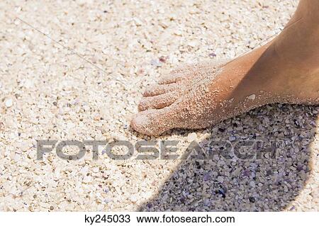 Close-up of a man's foot on sand View Large Photo Image Stock Image - Close-up of a man's foot on sand. Fotosearch