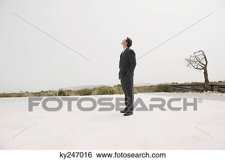 Businessman standing at the poolside with a bare tree in the background View Large Photo Image Stock Photograph - Businessman standing at the poolside with a bare tree in the background. Fotosearch