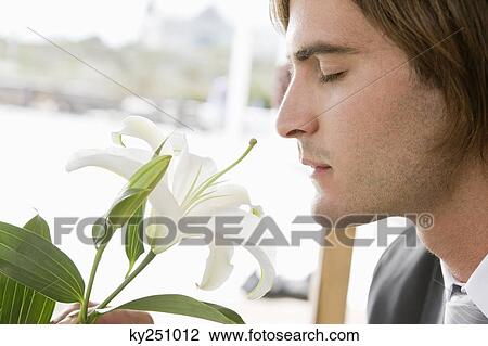 Close-up of a groom smelling a lily flower View Large Photo Image Stock Image - Close-up of a groom smelling a lily flower. Fotosearch