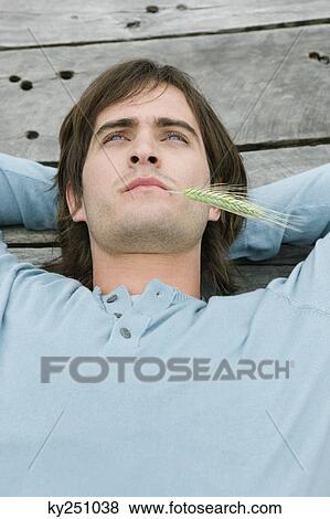 Man lying on a boardwalk and thinking with husk of wheat in his mouth View Large Photo Image Stock Photo - Man lying on a boardwalk and thinking with husk of wheat in his mouth. Fotosearch