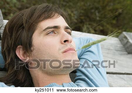 Man with a stalk of wheat in his mouth View Large Photo Image Stock Image - Man with a stalk of wheat in his mouth. Fotosearch