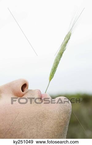 Stock Photo - Man with a stalk of wheat in his mouth. Fotosearch