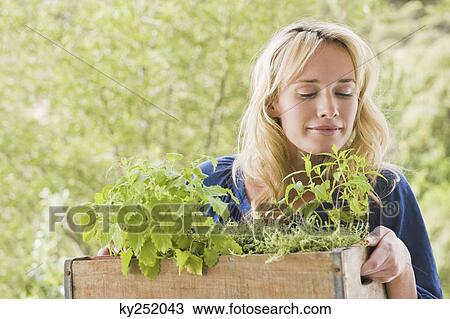 Woman carrying a crate of plants View Large Photo Image Stock Image - Woman carrying a crate of plants. Fotosearch